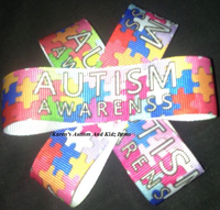 
              Autism Star Hair Clip
            