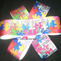 Autism Star Hair Clip